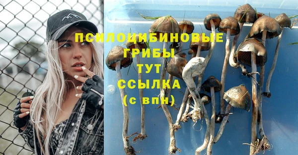 кокаин колумбия Козловка
