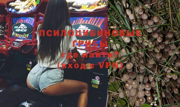 стафф Кодинск