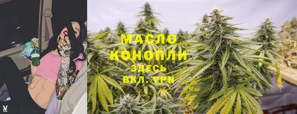 стафф Кодинск