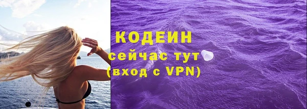 стафф Кодинск