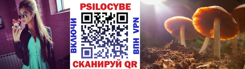 Купить  Тольятти  Галлюциногенные грибы мицелий 