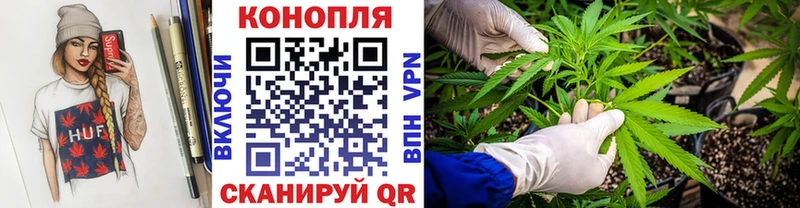 Купить  Тольятти  Конопля SATIVA & INDICA 